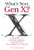 What's Next, Gen X? (Keeping Up, Moving Ahead, and Getting the Career You Want) by Tamara J. Erickson, 9781422120644