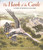 The Hawk of the Castle (A Story of Medieval Falconry) by Danna Smith, Bagram Ibatoulline, 9780763679927