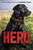Hero - 9780062560391 by Jennifer Li Shotz, 9780062560391