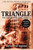 Triangle (The Fire That Changed America) by David von Drehle, 9780802141514