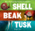 Shell, Beak, Tusk (Shared Traits and the Wonders of Adaptation) by Bridget Heos, 9780544811669