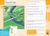 Summer Brain Quest: Between Grades 2 & 3 by Workman Publishing, Persephone Walker, Claire Piddock, Edison Yan, Matt Cummings, Jane Ching Fung, 9780761189183