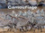 Camouflage by American Museum of Natural History, 9781454920793