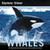Whales by Seymour Simon, 9780060877118