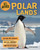 In Focus: Polar Lands by Clive Gifford, 9780753473511