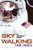 Sky Walking (An Astronaut's Memoir) by Thomas D. Jones, 9780060884369