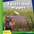 Egrets and Hippos - 9781634712798 by Kevin Cunningham, 9781634712798