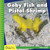 Goby Fish and Pistol Shrimp by Kevin Cunningham, 9781634710848