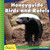 Honeyguide Birds and Ratels by Kevin Cunningham, 9781634710862