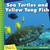 Sea Turtles and Yellow Tang Fish - 9781634712866 by Kevin Cunningham, 9781634712866