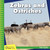 Zebras and Ostriches - 9781634712804 by Kevin Cunningham, 9781634712804