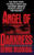 Angel of Darkness (The True Story of Randy Kraft and the Most Heinous Murder Spree) by Dennis McDougal, 9780446515382