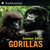 Gorillas by Seymour Simon, 9780060891015 Gorillas by Seymour Simon, 9780060891015