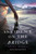 The Incident on the Bridge by Laura McNeal, 9780307930996