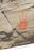 Pictograph (Poems) by Melissa Kwasny, 9781571314628