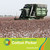 Cotton Picker by Samantha Bell, 9781634710350