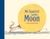 Mr. Squirrel and the Moon by Sebastian Meschenmoser, 9780735841567