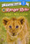 Ranger Rick: I Wish I Was a Lion - 9780062432063 by Sandra Markle