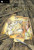 The Borrowers by Mary Norton, Diana Stanley, Beth Krush, Joe Krush, Leonard S. Marcus, 9780152047375
