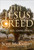 The Jesus Creed (Loving God, Loving Others - 15th Anniversary Edition) by Scot McKnight, 9781612615783