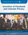 Invention of Facebook and Internet Privacy by Tamra B. Orr, 9781634728638