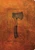 Hatchet (30th Anniversary Edition) by Gary Paulsen, Drew Willis, 9781481486293