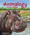 Animalogy: Animal Analogies by Marianne Berkes, Cathy Morrison, 9781607181279