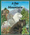 Day on the Mountain, A by Kevin Kurtz, Erin E. Hunter, 9781607180739