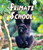 Primate School by Jennifer Keats Curtis, 9781628555554