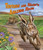 Tortoise and Hare's Amazing Race by Marianne Berkes, Cathy Morrison, 9781628556353