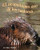 El ocupadísimo año de los castores (Beavers' Busy Year, The) (Spanish Edition) by Mary Holland, 9781628552225