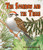 Sparrow and the Trees, The - 9781628556384 by Sharon Chriscoe, Susan Detwiler, 9781628556384