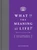 What Is the Meaning of Life? (And 92 Other Things I Don't Have Answers To) (Miniature Edition) by Don Hermann, 9781449486716