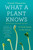 What a Plant Knows (A Field Guide to the Senses: Updated and Expanded Edition) by Daniel Chamovitz, 9780374537128 What a Plant Knows (A Field Guide to the Senses: Updated and Expanded Edition) by Daniel Chamovitz, 9780374537128