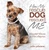 How My Rescue Dog Rescued Me by Julie Johnson, 9781944833008