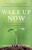 Wake Up Now by Stephan Bodian, 9780071742221