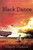 Black Dance by Nancy Huston, 9780802122711