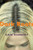 Dark Roots (Stories) by Cate Kennedy, 9780802170453