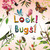 Look! Bugs! by Stephanie Calmenson, Jane Newland, 9781499805437
