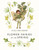 Flower Fairies of the Spring (Miniature Edition) by Cicely Mary Barker, 9780723237532