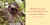 Life in the Sloth Lane (Slow Down and Smell the Hibiscus) by Lucy Cooke, 9780761193227
