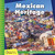Mexican Heritage by Tamra B. Orr, 9781534107335