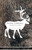 Being Caribou (Five Months on Foot with an Arctic Herd) by Karsten Heuer, 9781571313089