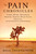 The Pain Chronicles (Cures, Myths, Mysteries, Prayers, Diaries, Brain Scans, Healing, and the Science of Suffering) by Melanie Thernstrom, 9780312573072