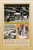 Golden Boy (Memories of a Hong Kong Childhood) by Martin Booth, 9780312426262