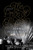 The Price of Illusion (A Memoir) - 9781476762951 by Joan Juliet Buck, 9781476762951