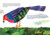 The Tiny Seed by Eric Carle, Eric Carle, 9780689842443
