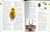 Macmillan First Dictionary by Simon & Schuster, 9781416950431