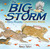 The Big Storm (A Very Soggy Counting Book) by Nancy Tafuri, Nancy Tafuri, 9781416967958