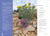 Wildflowers of Texas by Michael Eason, 9781604696462